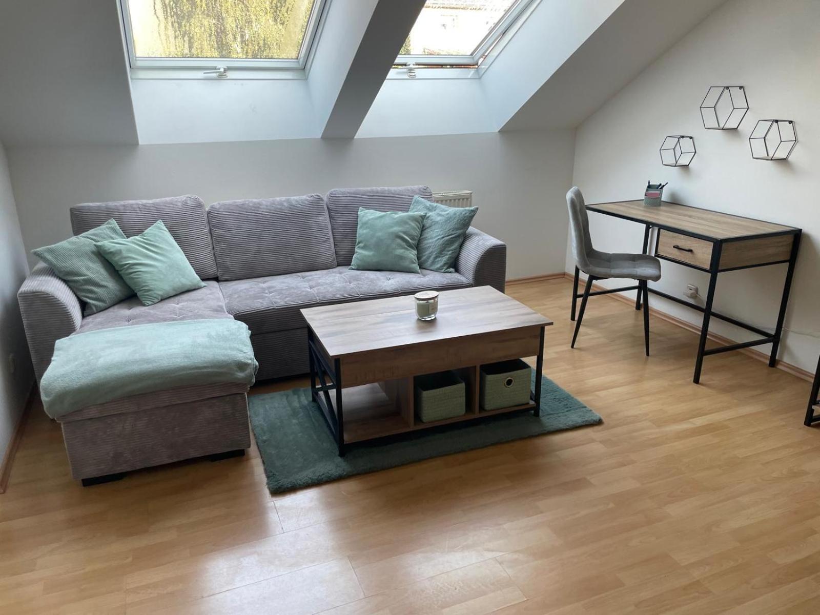 Schoene Wohnung Mit Parkplatz Im Zentrum Von Linz Buitenkant foto
